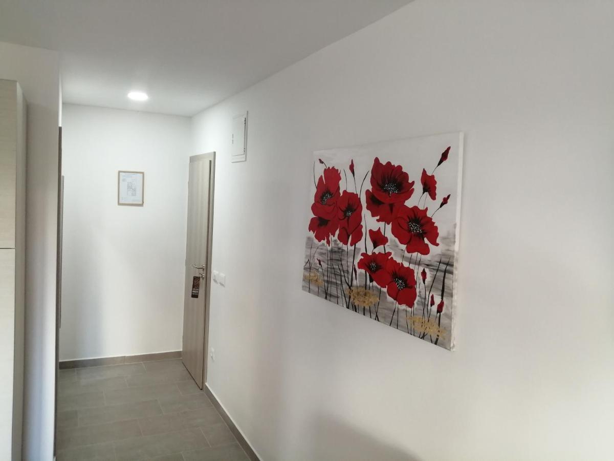 Studio Istra Rovinj Buitenkant foto